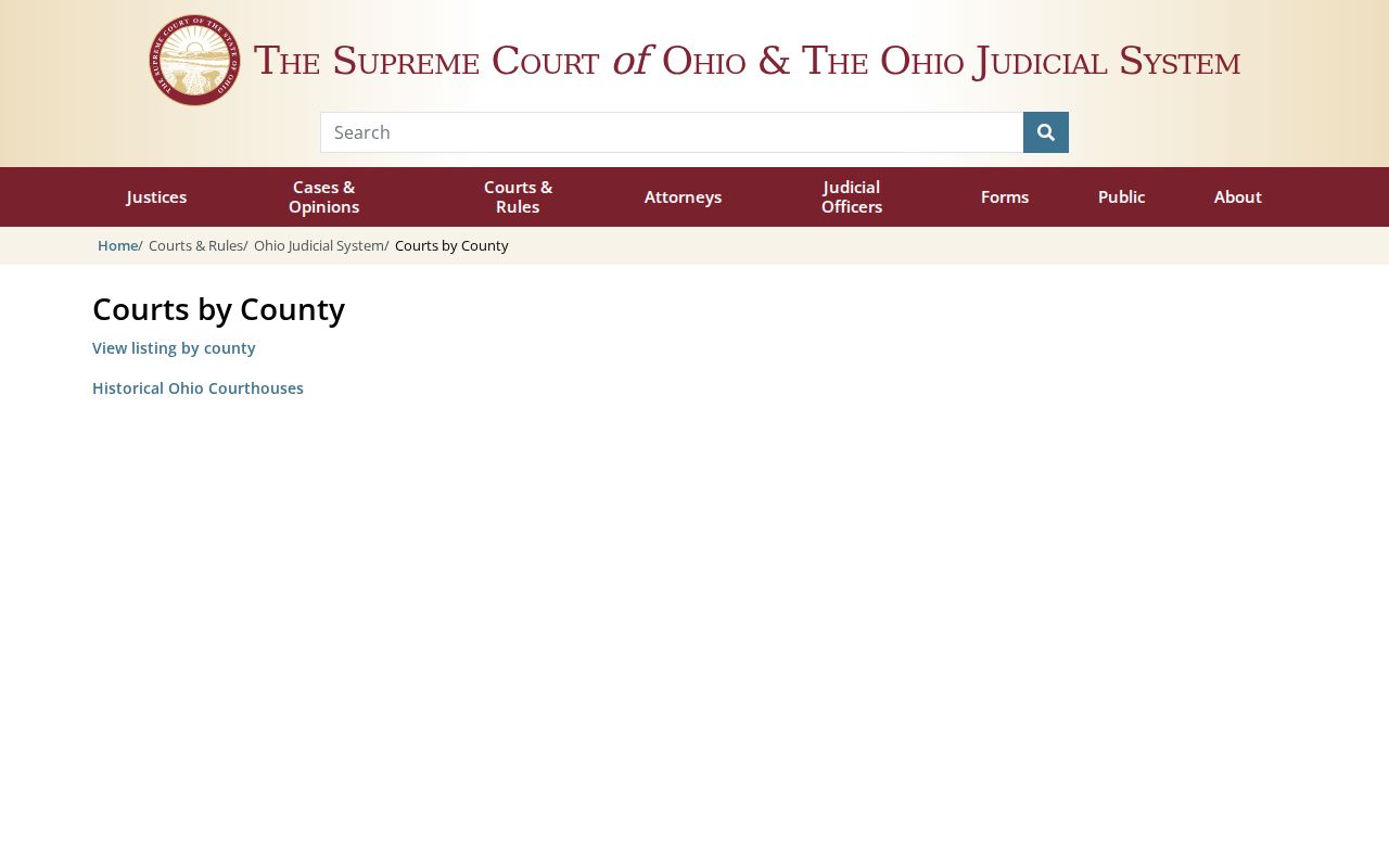 Ross County court docket source for Ohio trial court record structure